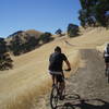 Carbondale Trail near Stewartville Trail junction