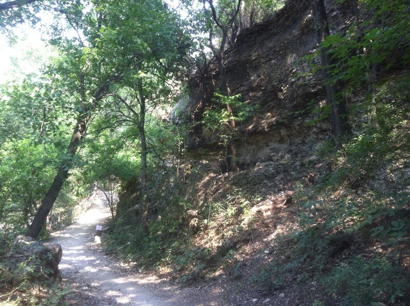 Shoal Creek Trail.