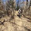This trail uses the river bank over and over to create small descents and climbs.