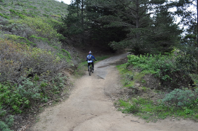 Old Pedro Mountain Road