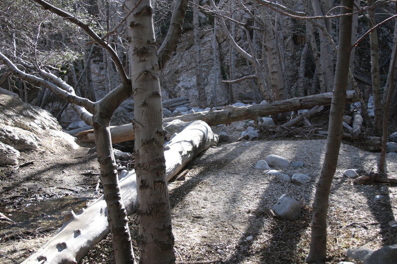 Silver Moccasin Trail
