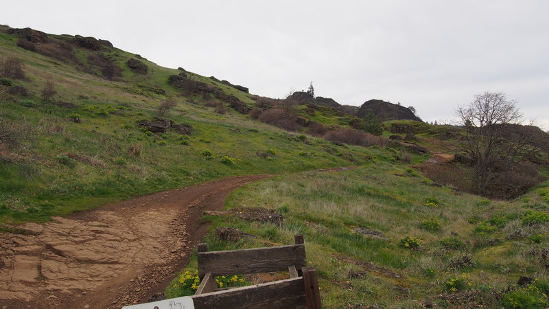 Old Ranch Road Trail #4426 (Jeep Trail)