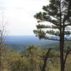 Looking out at the Ouachita's.