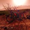 Riding in a dust storm, everything has a tinge of red.