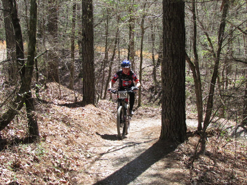 Cedar Glades Park Loop Mountain Bike Trail, Hot Springs National Park ...