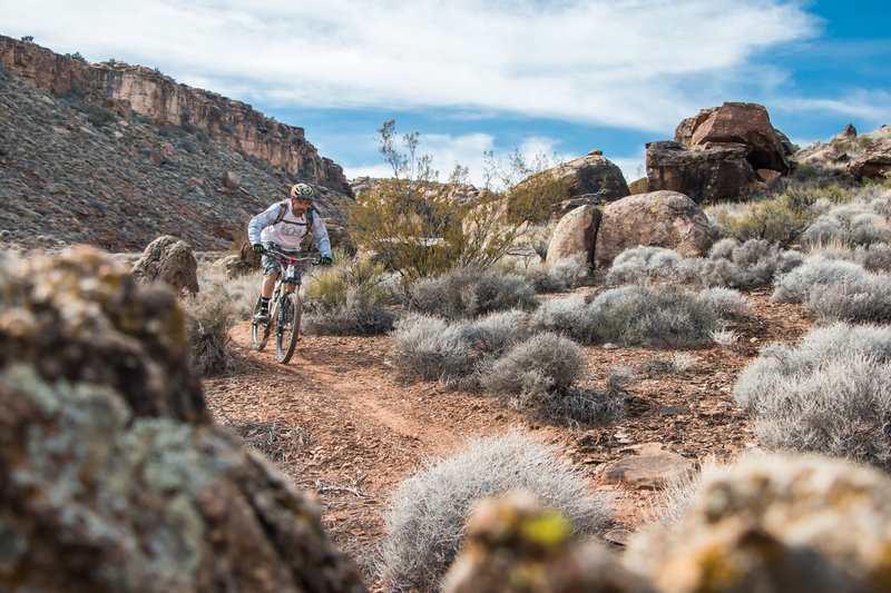 st george utah mtb ride suciside