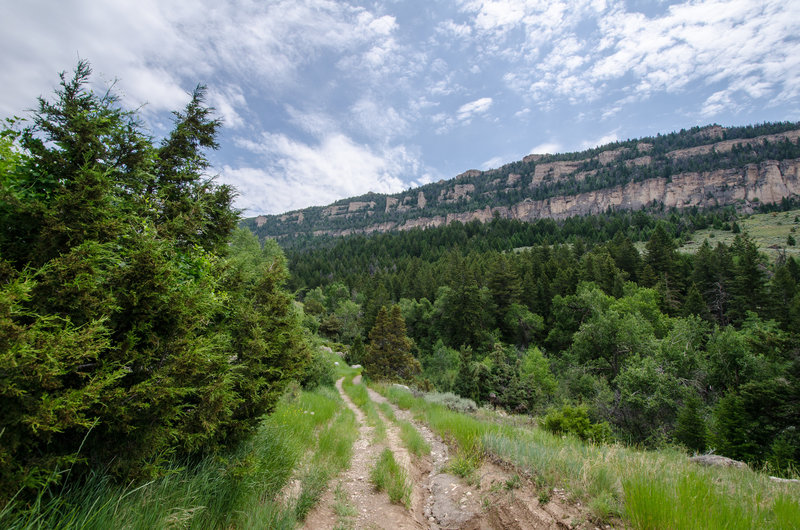 Clear Creek Trail Mountain Bike Trail, Buffalo, Wyoming