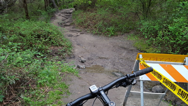 Wildcat Canyon Loop
