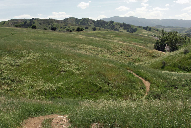 A fun, little singletrack connector to finish off the ride, referred to as 'Young Magicness' on Strava.