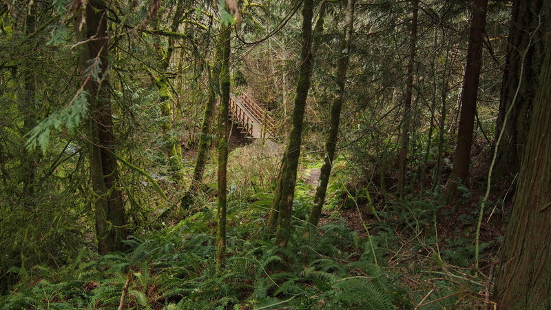 Looking down at the bridge which marks the beginning of Stub Stewart's MTB-only area.