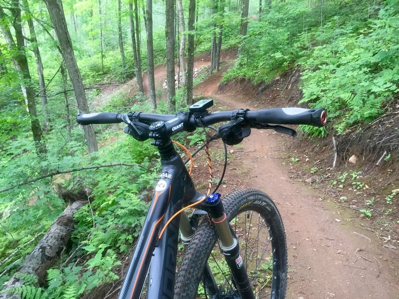 Scout Mountain Bike Trail, Manitowish Waters, Wisconsin