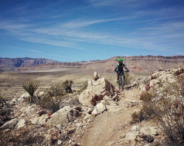 Connect the Dots Mountain Bike Trail, Summerlin South, Nevada