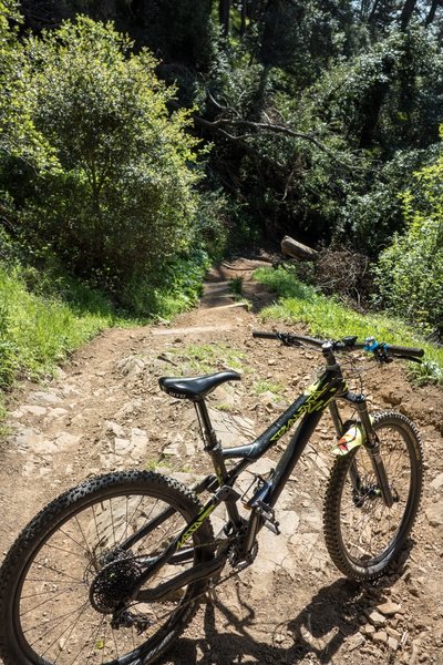 Joaquin Miller - Chaparral Trail.