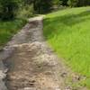 As the trail descends to the lake, the trail returns to an old road that is deteriorating.