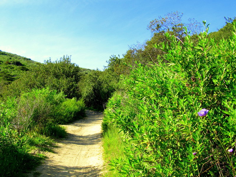 Aliso Enduro Session