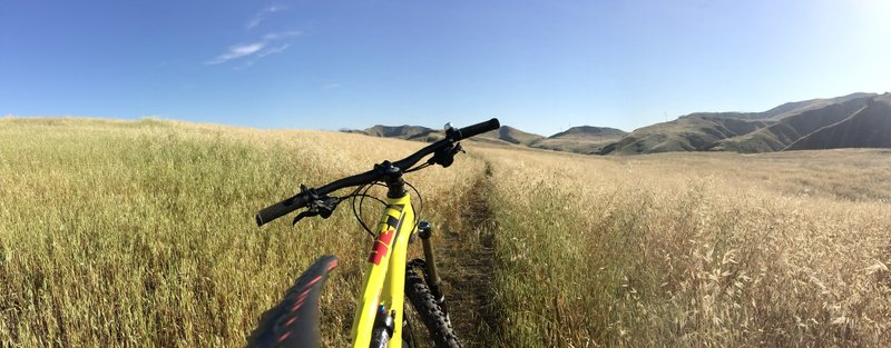 Nice singletrack of the spur connector to Bane Canyon Road..fun!