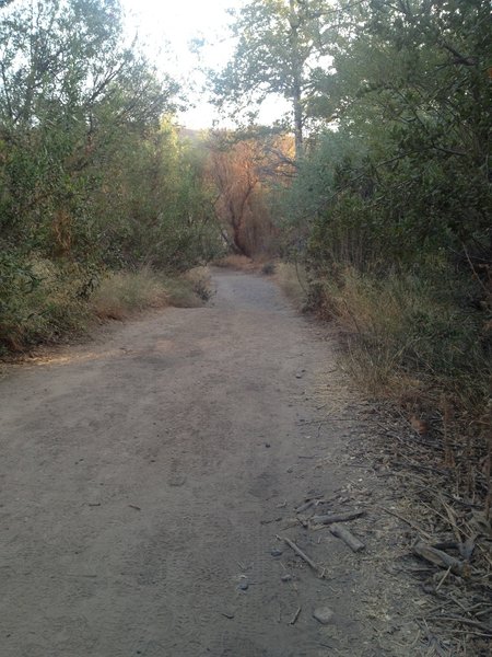 Upper Las Virgenes Canyon Trail