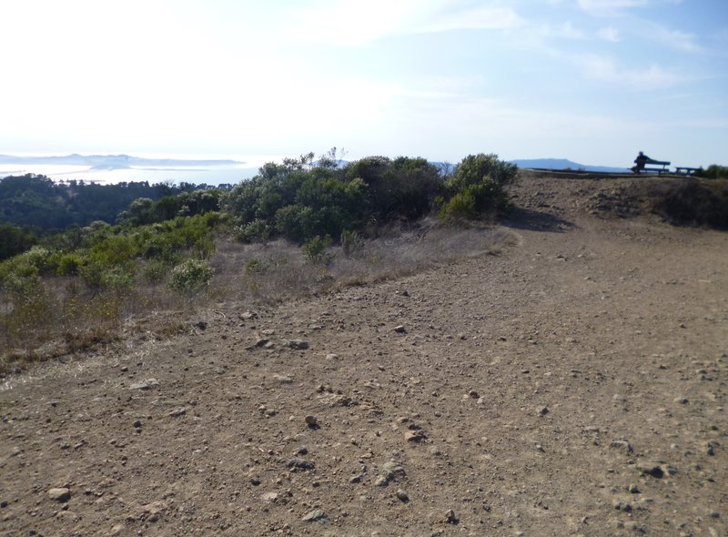 Seaview Trail view.
