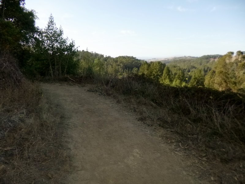 Tilden Park South Trails