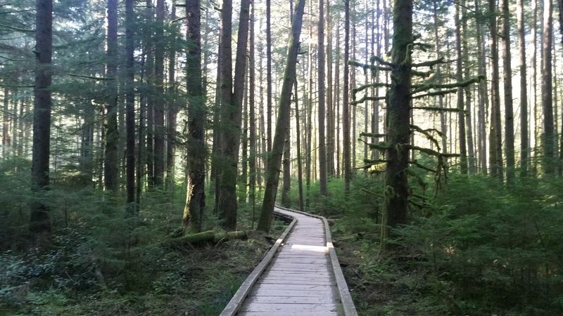 East Fork Trail