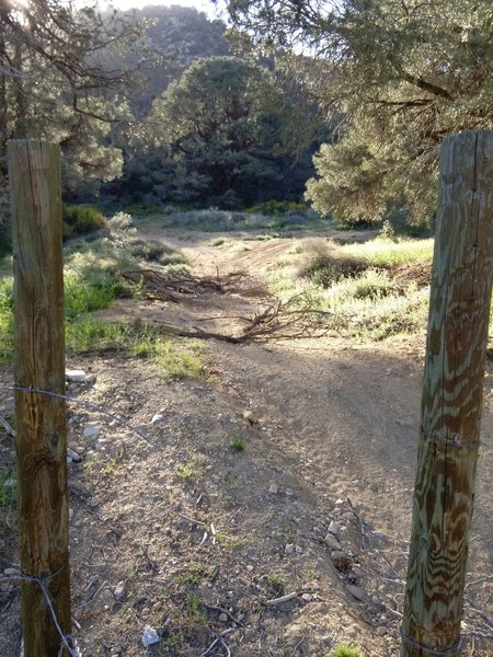 Frazier View Trail
