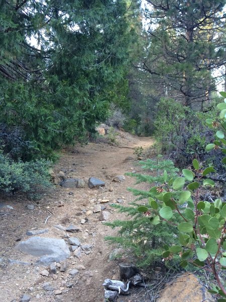 Gateway Trail