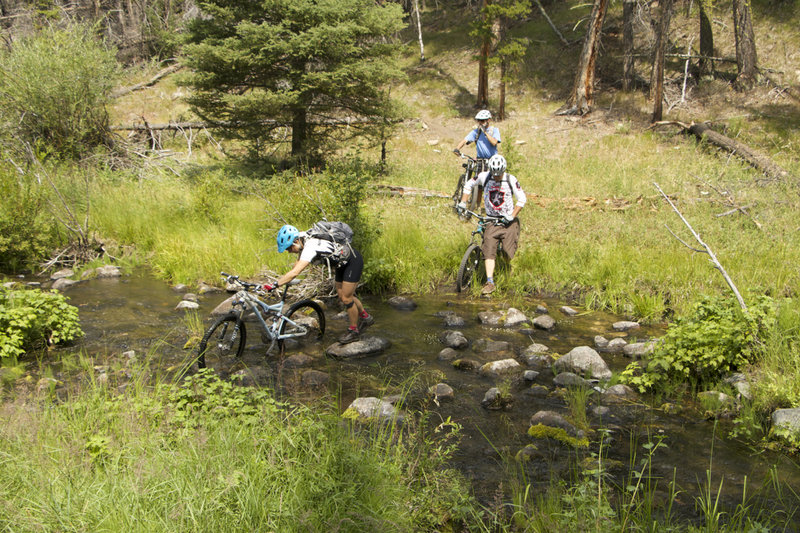 Lime Creek Trail 100 Mountain Bike Trail, Salmon, Idaho