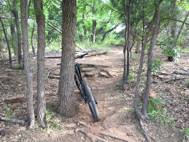 knob hills bike trail