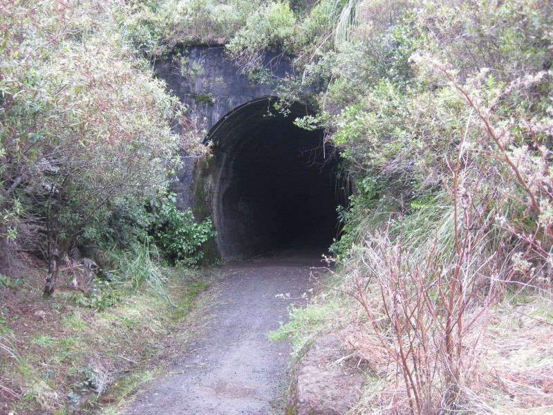 The entrance to the hand-dug rail tunnel on the Ohakune Old Coach Road.