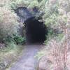 The entrance to the hand-dug rail tunnel on the Ohakune Old Coach Road.