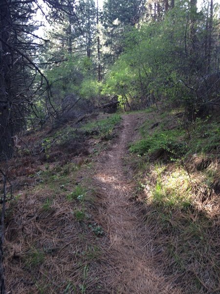 Gateway Trail Loop