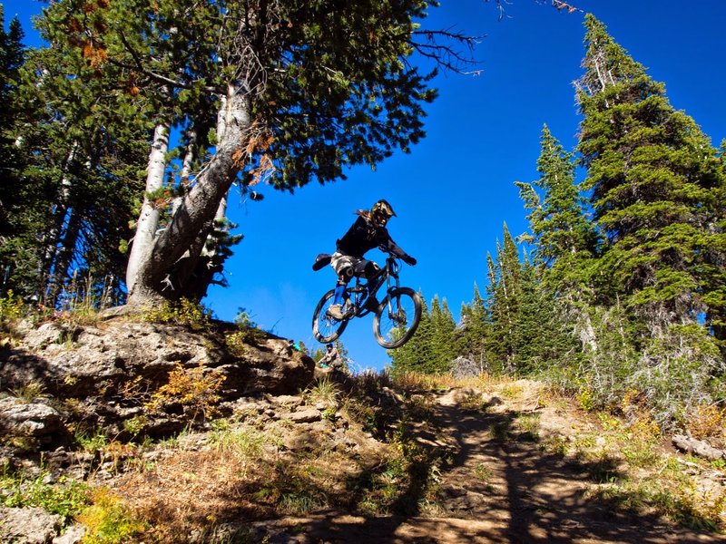 grand targhee bike park