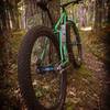 Winding singletrack.