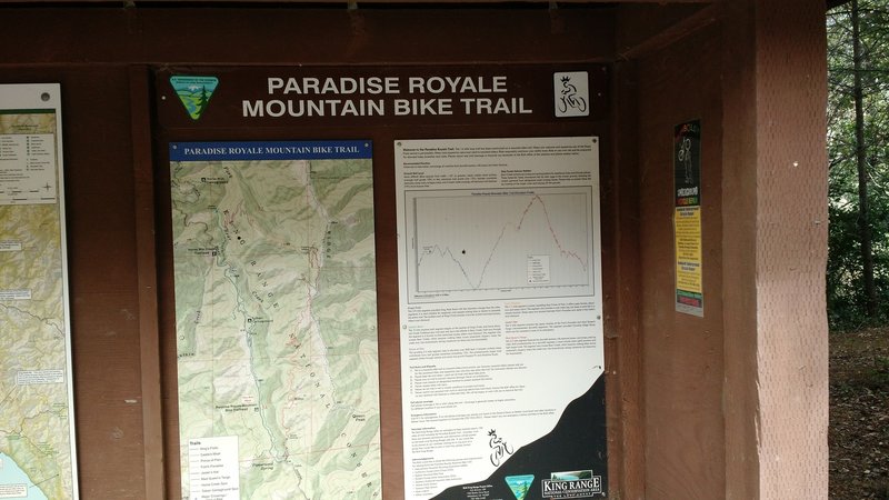 Paradise Royale Loop