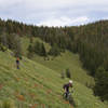 Riders descend through wildflowers on the upper end of Three Mile Ridge.