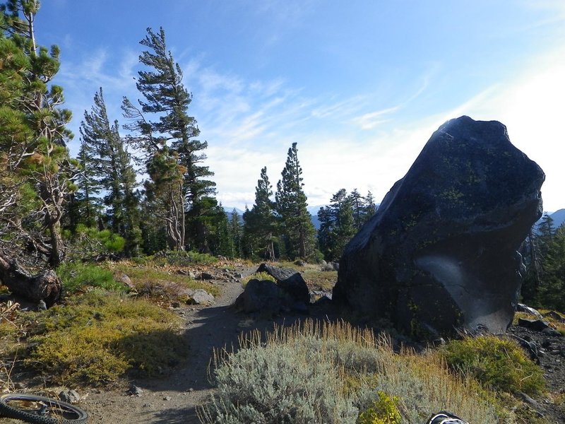 Stanford Loop Trail to Twin Peaks