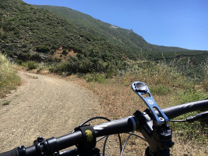 Near Laurel Springs on Harding TT.