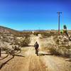 A leisurely phat bike cruise around the Bartletts