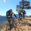 Tree marks the highest spot of the route, 7,003 feet!