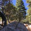 The trail is just a bit rocky.