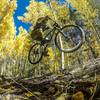 This loop is spectacular in the fall!