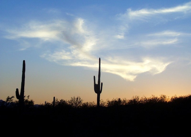 Sonoran sunset. with permission from meg99az