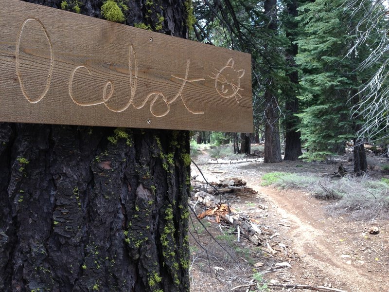 Tahoe City-Truckee Gravel Grinder