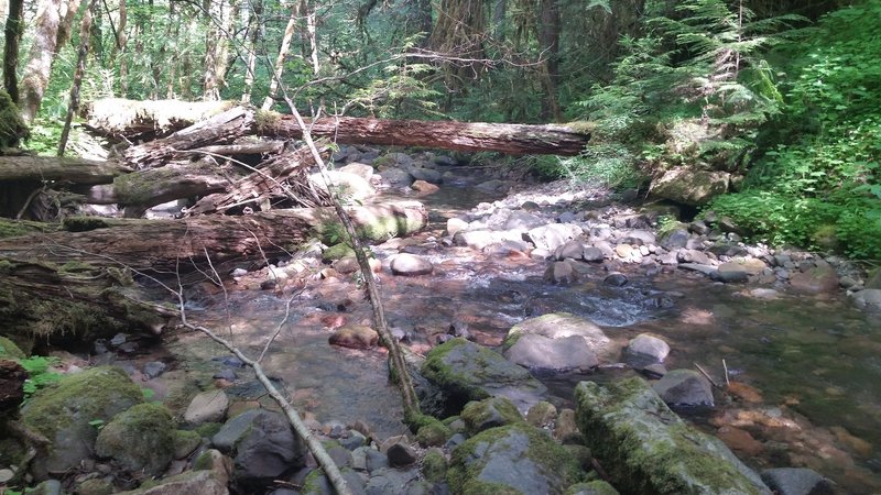 Larison Creek Trail