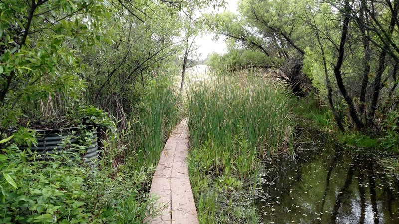 Blinn Ranch Trail