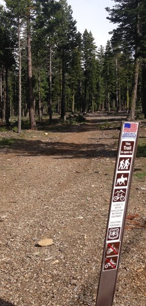 West Shore Backcountry Lakes Tour