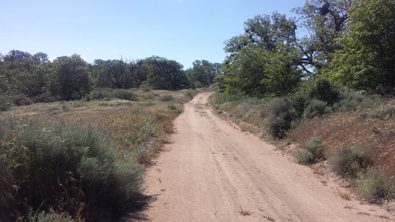 The fire road climbing up.