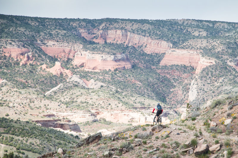 Killer trail and beautiful views, can't ask for much more on the Lion's ...