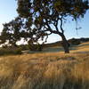 Lime Ridge landscape.
