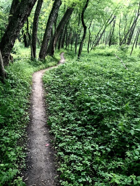 clear creek bike trail